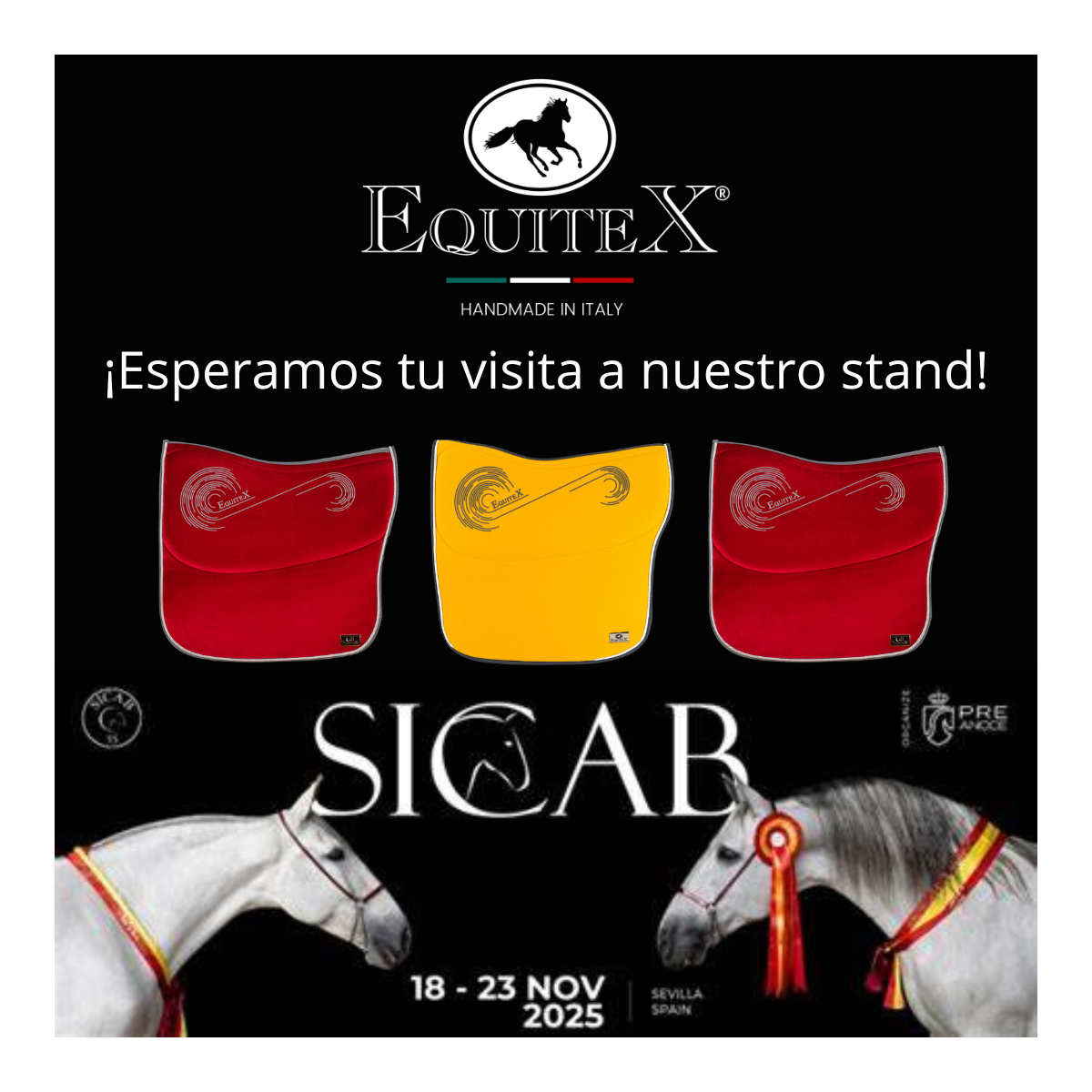 Salón Internacional del Caballo - SICAB -Sevilla dal 18 - 23 novembre 2025 - Salón Internacional del Caballo - SICAB -Sevilla dal 18 - 23 novembre 2025