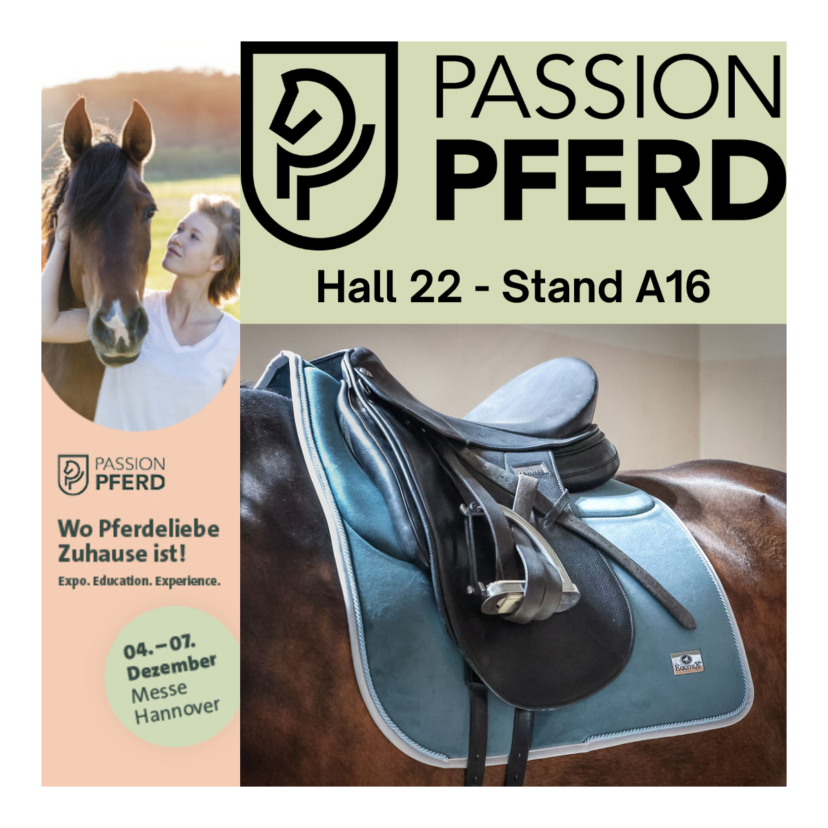 Passion Pferd - Hannover- dal 04 - 07 dicembre 2025 - Germania - Passion Pferd - Hannover- dal 04 - 07 dicembre 2025 - Germania