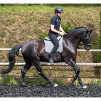 Riding pad Equitex Loden for Raidho  Black Herringbone Full