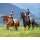 Riding pad Equitex Loden for Raidho  Black Herringbone Full