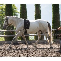 Cuscino fascione longia Airtech Nero