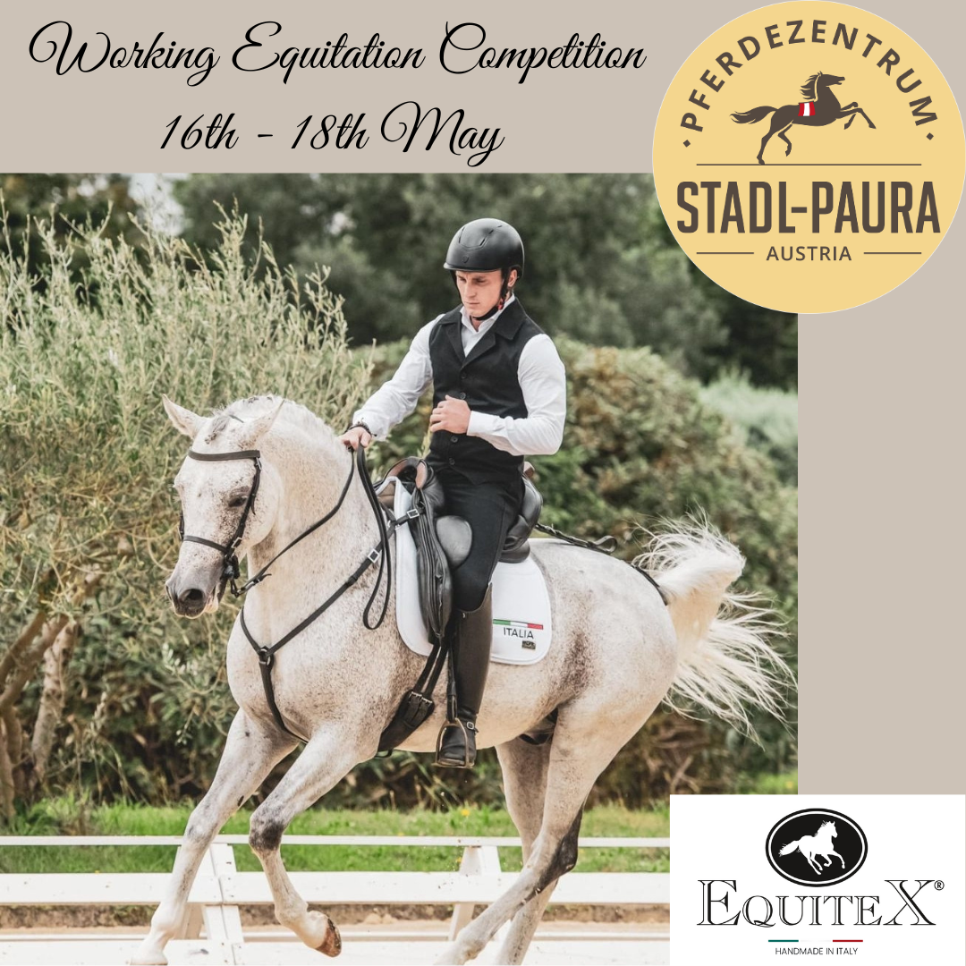 Working Equitation Turnier in Stadl-Paura vom 16. - 18. Mai 2025